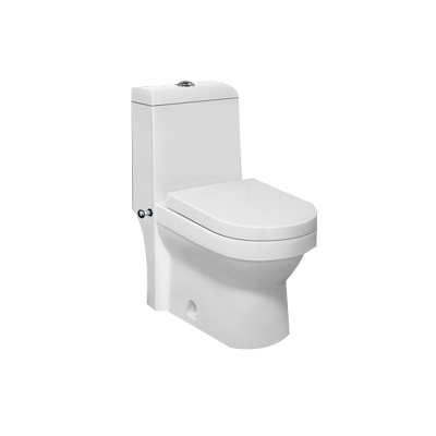 Chinese Toilet Bowl Washdown One Piece Toilet Ceramic Sanitary Ware Bathroom WC Bowl Toilet With Bidet Function